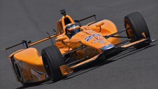 All Eyes On Alonso At Indy